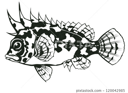 鹹水魚、海藻的簡單黑白剪紙插圖。 120042985