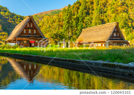 World Heritage Gokayama Suganuma Gassho-style Village Autumn 120043101