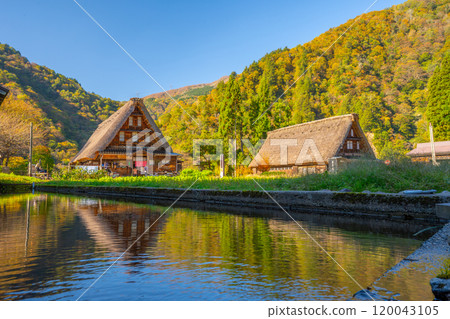 世界遺產 五簇山菅沼合掌造村 秋天 120043105