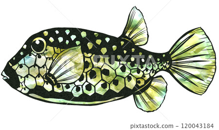 A paper cut-out illustration of a stylish boxfish with a unique pattern 120043184