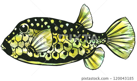 A paper cut-out illustration of a cute boxfish with a unique pattern 120043185