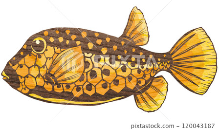 盒魚的剪圖，這是一種具有獨特圖案的鹹水魚 120043187