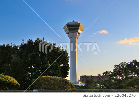從北海道函館市五稜郭眺望五稜郭塔 從北海道函館市五稜郭眺望五稜郭塔 120043276