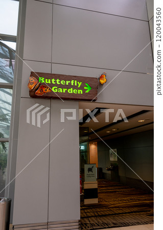 2024 The Butterfly Garden in New California, a special collection of various butterflies 2024 The Butterfly Garden in New California, a special collection of various butterflies 120043560