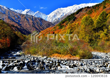 Futamata Bridge / Upstream of the Minamimata River in the Northern Alps / Towards Fuchinokage (Hakuba Village, Nagano Prefecture) [2024.11] 120043616