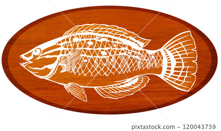 彩色魚瀨魚的剪影插圖 120043739