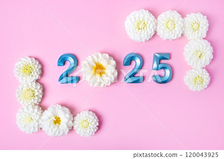 Blue numbers and white dahlia flowers on a pink background. 2025 new year idea concept. Simple and clean design Happy New Year 2025 and Merry Christmas. Flat lay 120043925