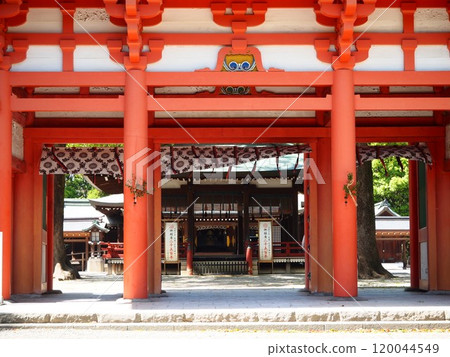 Omiya Hikawa Shrine bathed in the spring sunshine Omiya Hikawa Shrine bathed in the spring sunshine 120044549