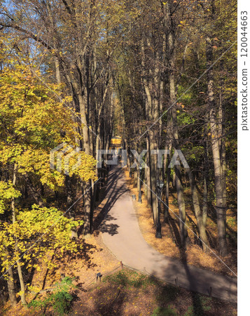 Sunny alley in the autumn park. Autumn leaf fall. 120044663