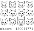 Various types of cat faces 120044771