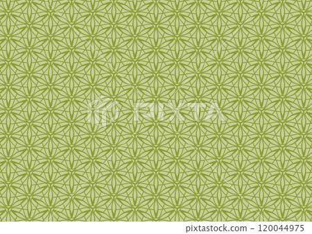 Presentation flower yellow pattern art background Presentation flower yellow pattern art background 120044975