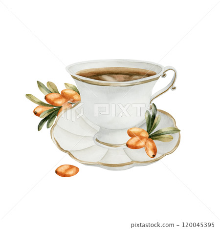 Cup of sea buckthorn tea with orange berries and green leaves. Watercolor hand drawn floral illustration isolated on white background for cozy fall design, medicinal herbs package, prints, invitations 120045395