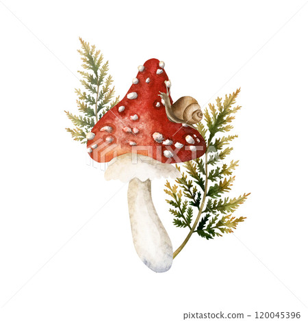 Fly agaric with snail and fern branches. Arrangement with autumn forest poisonous amanita mushroom. Watercolor hand drawn isolated floral illustration for fall design, cozy prints, floral labels 120045396