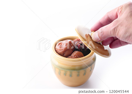 Pickled plum (white background) Pickled plum (white background) 120045544