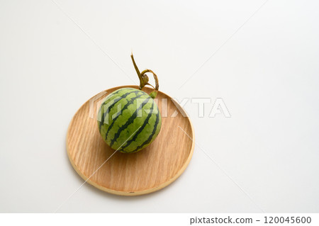 未成熟的西瓜 120045600