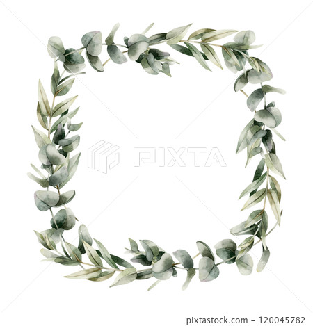 Eucalyptus Frame. Watercolor hand painted isolated floral illustrations with Silver Dollar Eucalypt for greenery wedding invitations, Christmas winter design, botanical posters, prints, floral labels Eucalyptus Frame. Watercolor hand painted isolated floral illustrations with Silver Dollar Eucalypt for greenery wedding invitations, Christmas winter design, botanical posters, prints, floral labels 120045782