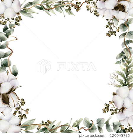 Eucalyptus branches with cotton flowers. Frame of watercolor hand painted isolated floral illustrations with Silver Dollar, Seeded Eucalypt for wedding, Christmas winter design, botanical poster, card 120045785