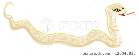 Illustration of a white snake in the year of the snake 120045835