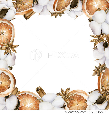 Cotton, orange slices, cinnamon sticks and anise. Frame of watercolor hand painted isolated floral illustrations for Christmas design, winter or autumn decor, botanical posters, cozy prints, cards 120045856
