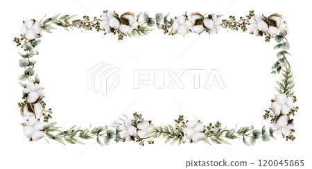Eucalyptus branches with cotton flowers. Frame of watercolor hand painted isolated floral illustrations with Silver Dollar, Seeded Eucalypt for wedding, Christmas winter design, botanical poster, card 120045865