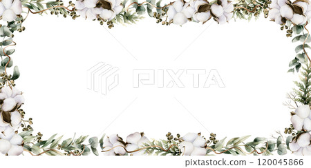 Eucalyptus branches with cotton flowers. Frame of watercolor hand painted isolated floral illustrations with Silver Dollar, Seeded Eucalypt for wedding, Christmas winter design, botanical poster, card Eucalyptus branches with cotton flowers. Frame of watercolor hand painted isolated floral illustrations with Silver Dollar, Seeded Eucalypt for wedding, Christmas winter design, botanical poster, card 120045866