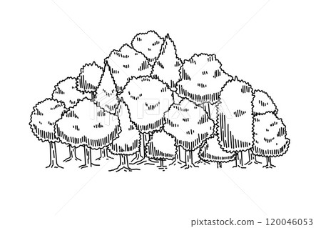 Forest sketch. Drawing pine landscape. Natural outline plant. Nature park or garden element. Doodle drawn tree Forest sketch. Drawing pine landscape. Natural outline plant. Nature park or garden element. Doodle drawn tree 120046053