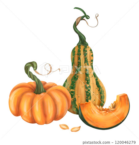 Fall composition of ripe pumpkin. Orange, green, yellow, slice elements. Fresh farm vegetables, healthy food. Garden plants, agriculture. Isolated illustration. Element of design printing, packaging 120046279