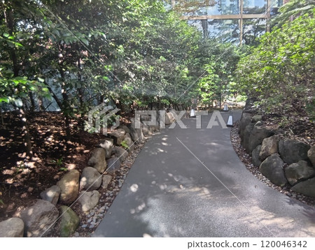 東京椿山莊飯店步道 120046342