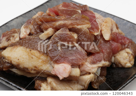 經驗豐富的成吉思汗 120046343