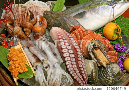 Hokkaido seafood image fresh seafood 120046749