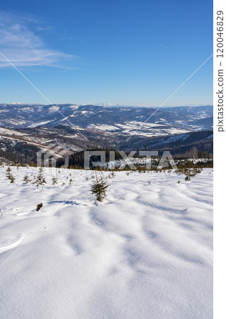 Marvelous valley of Silesian Beskid on Bialy Krzyz, Poland - vertical 120046829