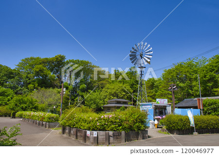 [神奈川縣] Fureia no Mori 120046977