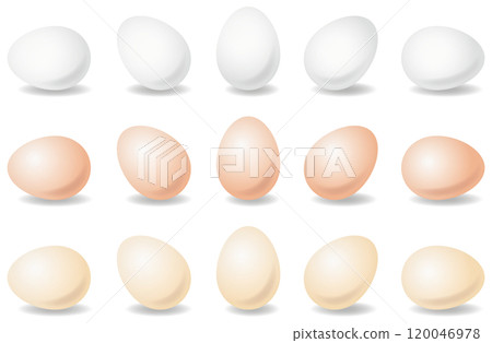 Vector illustration set of various eggs 120046978