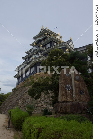 岡山城暮色夜景月見橋 120047018