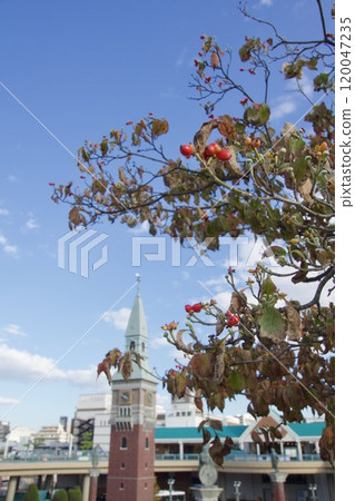 倉敷站前的風景 岡山觀光入境 倉敷站前的風景 岡山觀光入境 120047235