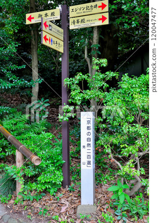 National Treasure Iwashimizu Hachiman Shrine Grounds Destination Sign Board Main Hall Edison Memorial Kiyomine Hall National Treasure Iwashimizu Hachiman Shrine Grounds Destination Sign Board Main Hall Edison Memorial Kiyomine Hall 120047477