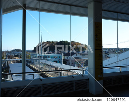 Kobayashi, Inzai City 120047591