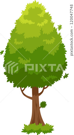 Lush green tree with brown trunk and vibrant green leaves, creating a refreshing and natural scene against a clean white backdrop, perfect for nature themed projects 120047748
