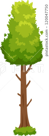 Cartoon illustration of a tall, lush green tree with a sturdy brown trunk and branches, set against a clean white background, creating a simple yet vibrant image 120047750