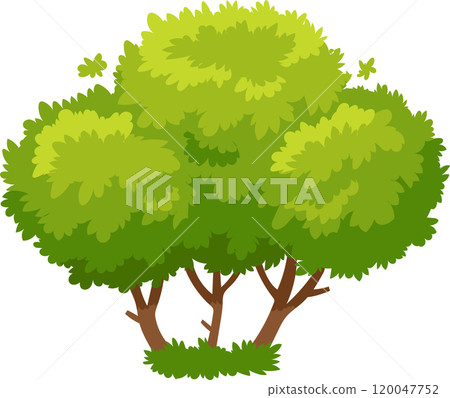 Vibrant green bush with multiple trunks creates a sense of unity and abundance, symbolizing the interconnectedness of nature Vibrant green bush with multiple trunks creates a sense of unity and abundance, symbolizing the interconnectedness of nature 120047752
