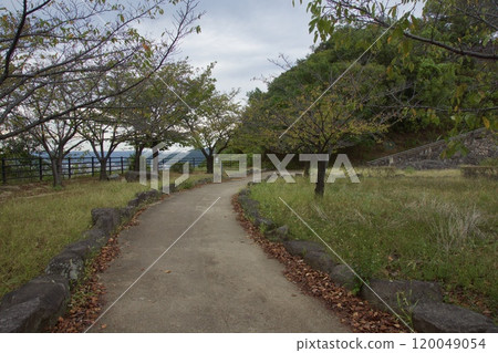 龜島山的黃昏、水島工廠區、花青山公園 120049054