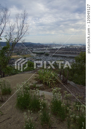 龜島山花綠山公園黃昏 龜島山花綠山公園黃昏 120049127