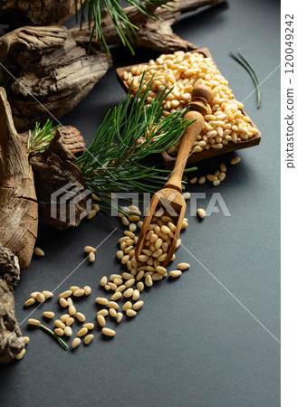 Peeled pine nuts with cedar dried snags and green branches. Peeled pine nuts with cedar dried snags and green branches. 120049242