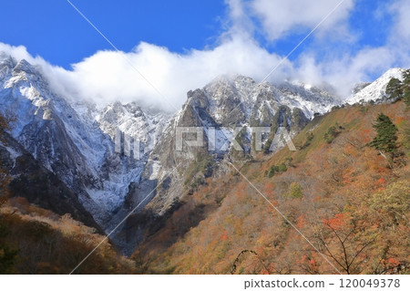Ichinokurazawa in late autumn. Three-tiered autumn foliage with snow-capped Mount Tanigawa in the background. 120049378