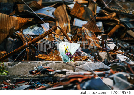Flowers offered amid the rubble of the 2024 Noto Peninsula earthquake 120049526
