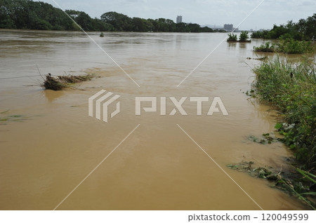 淀川、桂川水量增加 120049599