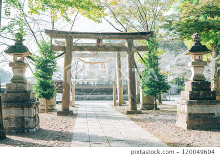 Torii gate at Ichinotoshi Shrine (Joso City, Ibaraki Prefecture) 120049604