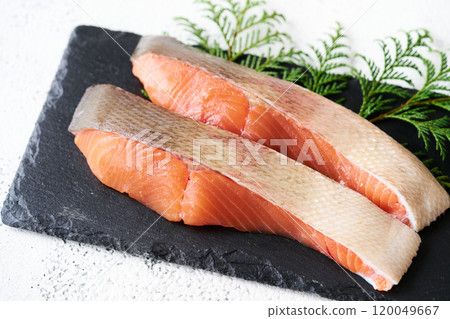 Autumn salmon fillet 120049667