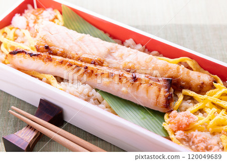 美味的鮭魚原味便當 120049689