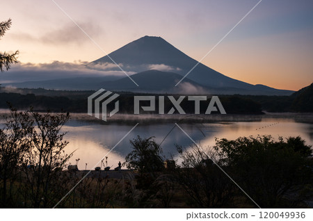Morning Fuji seen from Lake Shojiko - Inverted Fuji - Morning glow 120049936